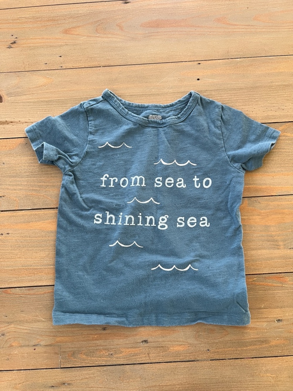 Little Co. Organic Cotton Kids Graphic Tee - 4T